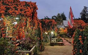 Lung Soi Nguen Homstay Pang Oung